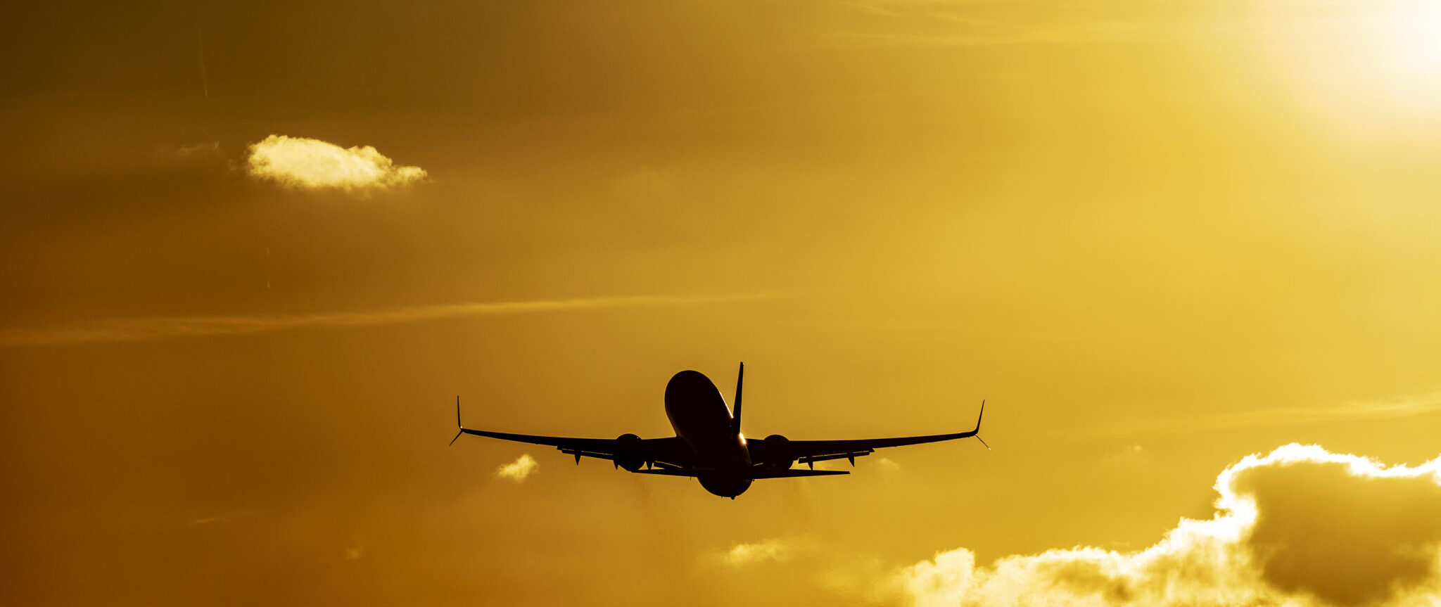 ECOTURISMO NO BRASIL ECOTURISMO NO RIO DE JANEIRO MELHOR IDADE