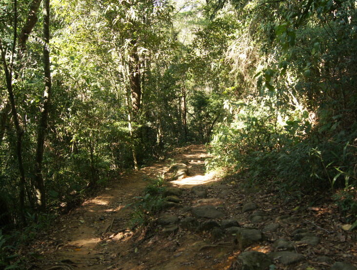 PEDRA BONITA TRAIL ECOTOURISM IN RIO DE JANEIRO