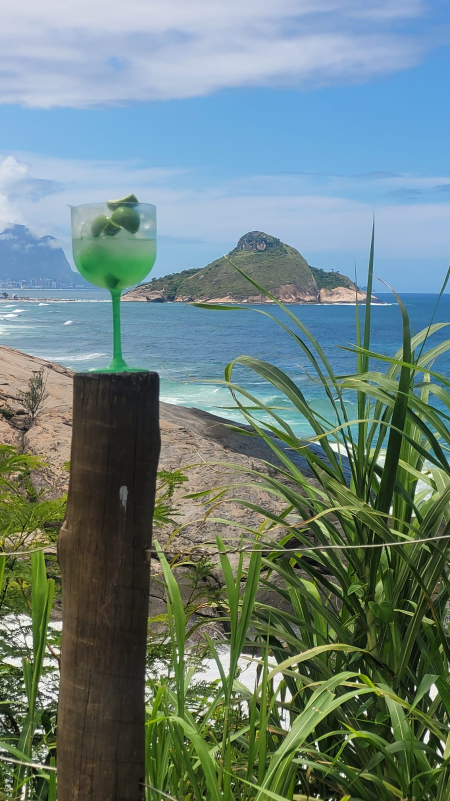 ECOTOURISM IN BRAZIL ECOTOURISM IN RIO DE JANEIRO