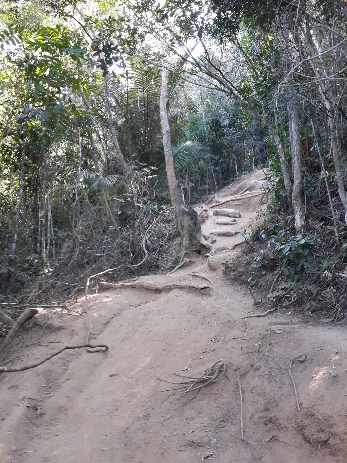 Morro Dois Irmãos