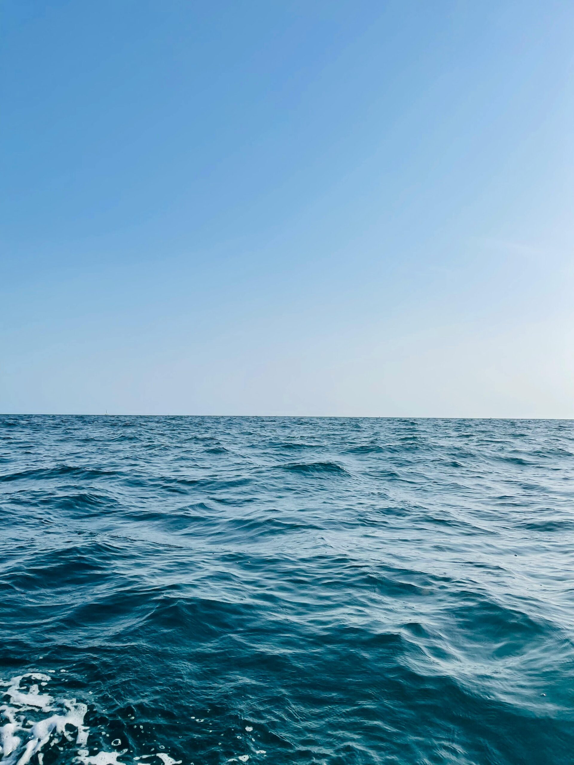 Observação de baleias Avistamento de baleias Passeio de baleias Excursão baleias Baleias no Rio de Janeiro